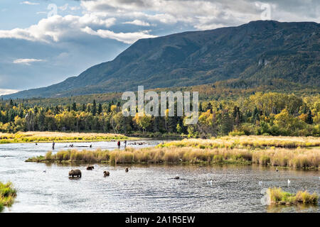 Fliegen Fischer entlang der unteren Brooks River mit Knödel Berg hinter im Katmai National Park September 16, 2019 in der Nähe von King Salmon, Alaska. Der Park erstreckt sich über die Weltgrößte Salmon Run mit fast 62 Millionen Lachse Migration durch die Ströme, die einige der größten Bären der Welt RSS-Feeds. Stockfoto