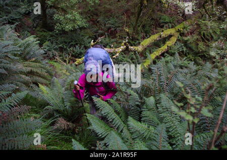 Thai weibliche Backpacker. Te Araroa Trail. South Island. Neuseeland Stockfoto