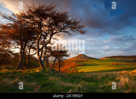 Roseberry Topping durch einige Bäume im schönen Abendlicht gerahmt, North Yorkshire, England, Vereinigtes Königreich. Stockfoto