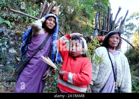 Holz Sammler der Khasi ethnische gruppe Brennholz zu ihrem Dorf in die khasi Hills, Meghalaya, Indien Stockfoto