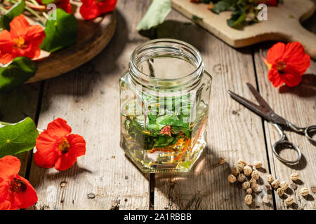 Zubereitung von hausgemachten Kapuzinerkresse Tinktur aus Kapuzinerkresse : Samen, Blumen und Blätter in einem Glas Stockfoto