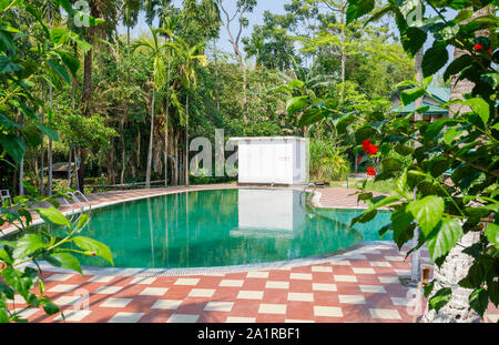 Von Palmen gesäumten Swimmingpool im tropischen Garten der Unendlichkeit Resorts Hotel, Kaziranga, Golaghat Bezirk, Bochagaon, Assam, Indien Stockfoto