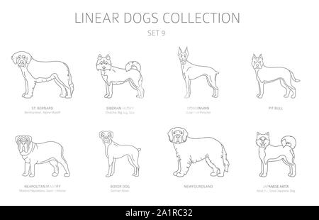 Einfache Linie hunde Sammlung isoliert auf Weiss. Hunderassen. Flat Style clipart eingestellt. Vector Illustration Stock Vektor