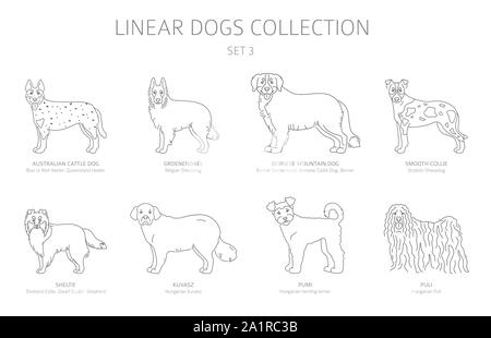 Einfache Linie hunde Sammlung isoliert auf Weiss. Hunderassen. Flat Style clipart eingestellt. Vector Illustration Stock Vektor