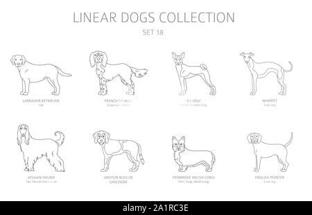 Einfache Linie hunde Sammlung isoliert auf Weiss. Hunderassen. Flat Style clipart eingestellt. Vector Illustration Stock Vektor