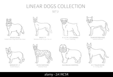 Einfache Linie hunde Sammlung isoliert auf Weiss. Hunderassen. Flat Style clipart eingestellt. Vector Illustration Stock Vektor