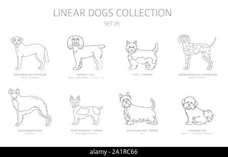 Einfache Linie hunde Sammlung isoliert auf Weiss. Hunderassen. Flat Style clipart eingestellt. Vector Illustration Stock Vektor