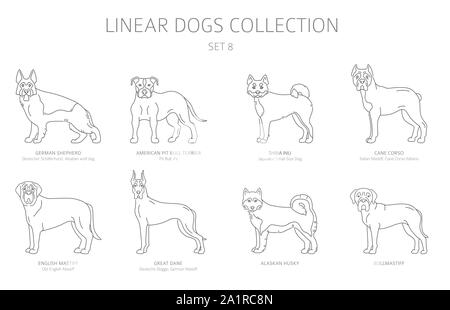 Einfache Linie hunde Sammlung isoliert auf Weiss. Hunderassen. Flat Style clipart eingestellt. Vector Illustration Stock Vektor