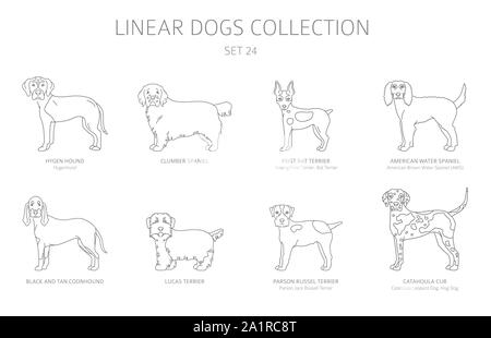 Einfache Linie hunde Sammlung isoliert auf Weiss. Hunderassen. Flat Style clipart eingestellt. Vector Illustration Stock Vektor