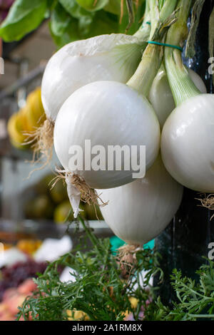 Frisch geerntete weiße Zwiebel zum Verkauf auf wöchentliche spanische Markt in Andalusien, Spanien, in der Nähe von Stockfoto