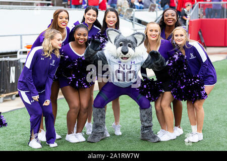 Madison, WI, USA. 28 Sep, 2019. Nordwestlichen Cheerleadern und Maskottchen vor dem NCAA Football Spiel zwischen dem nordwestlichen Wildkatzen und die Wisconsin Badgers in Camp Randall Stadium in Madison, WI. Wisconsin besiegt Nordwestlichen 24-15. John Fisher/CSM/Alamy leben Nachrichten Stockfoto