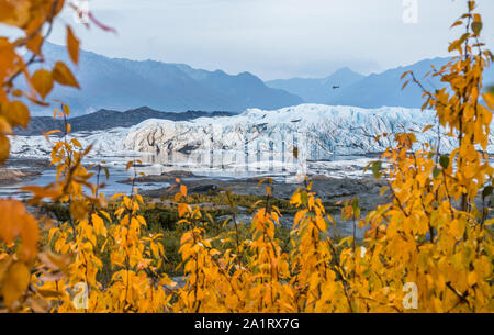 Eine kleine Bush Flugzeug fliegt tief über den Eisfall des Matanuska Gletscher in Alaska. Ein bisschen Licht späht durch Wolken und Rauch kurz vor Sonnenuntergang, fr Stockfoto