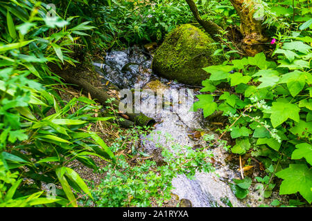 Streaming Wasser über Felsen, die sich in einem tropischen Garten, exotischen Natur Hintergrund Stockfoto