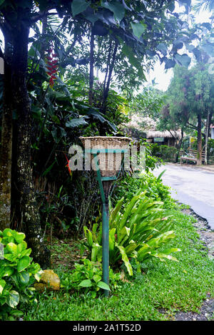 Staubbehälter mad aus Bambus Zuckerrohr auf einem Ständer aus Stahl Rohr in mawlynnong Dorf shillong neben der Straße mit vielen Bäumen im Hintergrund Stockfoto