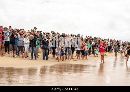 Huntington Beach, CA, USA. 28. September 2019. Große Menge an Hand der Surf City Surf Dog Wettbewerb zu beobachten. Credit: Ben Nichols/Alamy leben Nachrichten Stockfoto