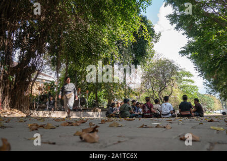 DENPASAR/BALI-Sept 09 2019: Balinesische jugendliche Üben traditionelle Balaganjur Musikinstrumente in einem Hof mit schattigen Banyan Bäume. Sie sahen sich s Stockfoto