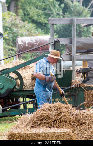 Hesston IN USA, 31. August 2019; ein Bauer Rechen das Heu in einen Heu pressen, während der Tag der Arbeit Veranstaltungen am jährlichen Tag der Arbeit der Heston Train Museum Dampf s Stockfoto