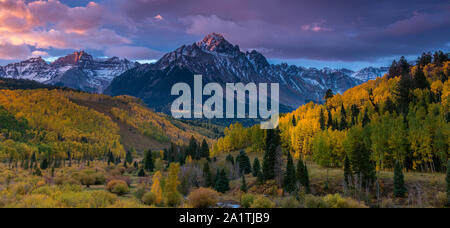 Dawn, Aspen, Willow Sumpf, Mount Sneffels, Dallas Divide, Uncompahgre National Forest, Colorado Stockfoto