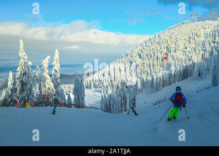 Bewundernswert schneebedeckten Bäumen und Winter Skigebiet mit schnellen Seilbahnen, Gondeln. Aktive sportliche Skifahrer skifahren Downhill in Poiana Brasov fantastische Ski Stockfoto