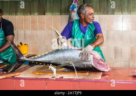 Male, Malediven - November 16, 2017: der Mann, der die großen Thunfischen für den Verkauf auf dem Fischmarkt in der Stadt und der Insel Male, die Hauptstadt der Malediven. Stockfoto