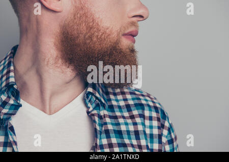 7/8-close-up Profil Seitenansicht Portrait von gepflegten ruhigen hübscher Kerl mit Bart tragen kariertes Hemd über Graues pastellfarbenen Hintergrund isoliert Stockfoto