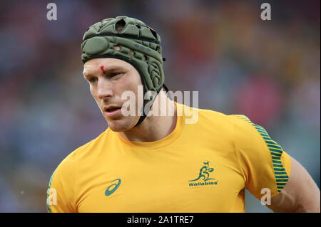 Australiens David Pocock mit einer kleinen Verletzung vor dem 2019 Rugby WM-Spiel im Stadion in Tokio, Japan. Stockfoto