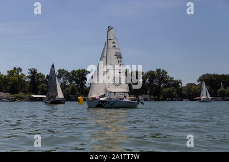 Belgrad, Serbien, 18. August 2019: drei Mannschaften in der Klasse Micro Segelregatta auf dem Fluss Sava konkurrierenden Stockfoto