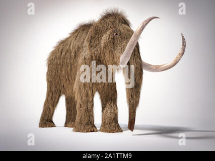 Woolly mammoth realistische 3D-Darstellung aus der Perspektive gesehen. Auf weißem Hintergrund mit Schatten fiel. Stockfoto