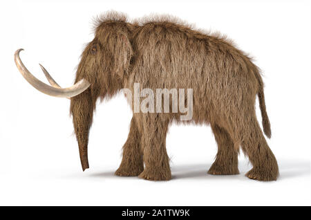 Woolly mammoth realistische 3D-Darstellung von einer Seite gesehen. Auf weißem Hintergrund mit Schatten fiel. Stockfoto