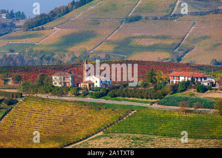 Kleine Pfarrkirche unter bunten herbstlichen Weinberge auf den Hügeln in der Nähe von Barolo im Piemont, Italien. Stockfoto