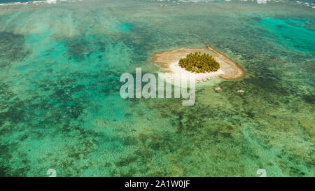 Meereslandschaft mit schönen Strand und die tropische Insel mit Palmen von Coral Reef von oben. Guyam Island, Philippinen, Siargao. Sommer und Reisen Urlaub Begriff Stockfoto