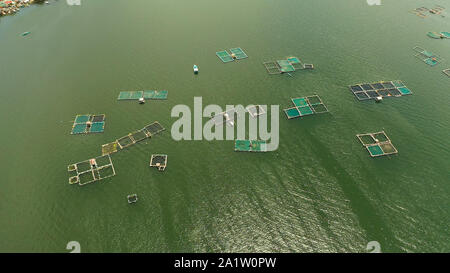 Luftaufnahme der Fischzucht mit Käfigen für Fische und Garnelen auf dem See Taal, Philippinen, Luzon. Fischteiche für bangus, milchfisch. Stockfoto