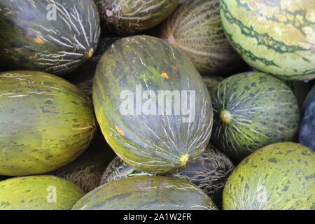 Außerordentliche Melonen von schöner Farbe und Geschmack Stockfoto