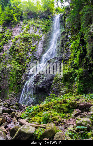 Deutschland, Schöne burgbachwasserfall einer natürlichen Wasserfall des Flusses burgbachbrunnen im schwarzen Wald Natur Landschaft Wüste grün Moos bedeckt Steine Stockfoto