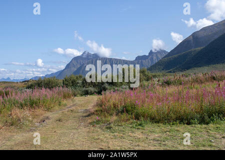 Auf grunnfor Austvagoy im nördlichen Lofoten, Norwegen Stockfoto