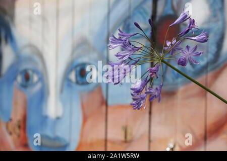 USA, SAN FRANCISCO - ca. August 2019 - - Unbekannter Graffiti an der Wand Stockfoto