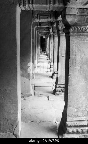 Innen Ta Prohm Tempel; Kambodscha Stockfoto