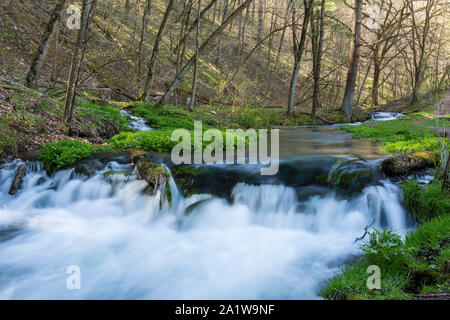 Ein kleiner Wasserfall an einem Bach im Wald im Frühling. Stockfoto