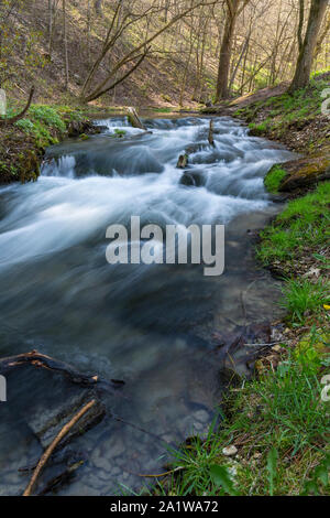 Ein kleiner Wasserfall an einem Bach im Wald im Frühling. Stockfoto