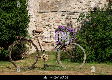 Alten rostigen Fahrrad mit Blumen in der Nähe von Stonewall in Haapsalu, Estland, Baltikum, Europa geparkte eingerichtet Stockfoto