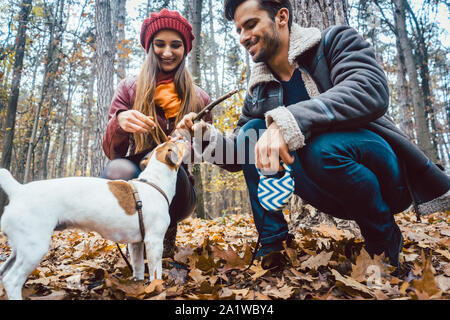 Frau und Mann ihren Hund werfen ein Stick Stockfoto