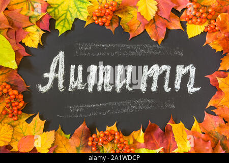 Herbst Thema Hintergrund mit Maple Leaves. Ernte. Stockfoto