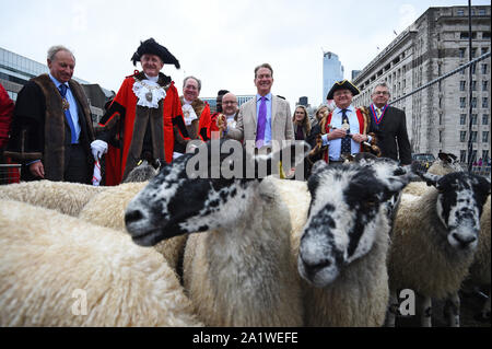 Michael Portillo, der Herr Bürgermeister und 600 Ehrenbürgern der Stadt London nehmen die historische Berechtigung des Fahrens Schafe über London Bridge. Stockfoto