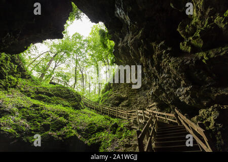 Treppen, die aus einer Höhle im Wald Stockfoto