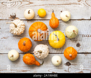 Happy Thanksgiving Hintergrund. Auswahl verschiedener Kürbisse auf weißem Holz- Hintergrund. Herbst Gemüse und saisonale Dekorationen. Herbst Ernte ein Stockfoto