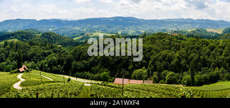 Berühmte herzförmige Wein Straße in Österreich/Slowenien Reiseziel Stockfoto