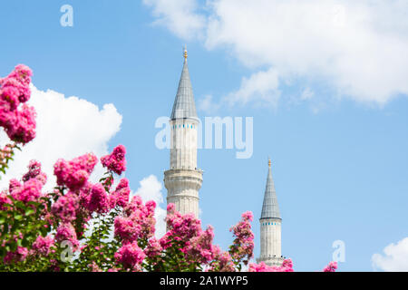 Moschee in Sultanahmet, Istanbul, Türkei Stockfoto