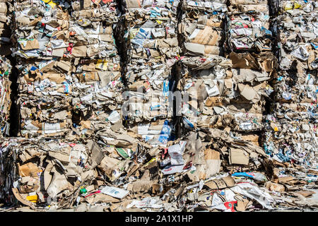 Altpapier für das Recycling gesammelt und verpackt. Karton und Papier Recycling Stockfoto