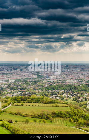 Blick vom Kahlenberg auf Wiener Stadtbild. Touristen vor Ort Stockfoto