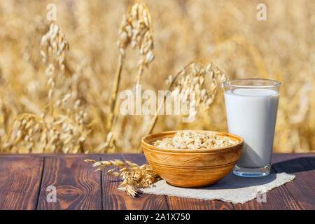 Vegan Hafermilch in Glas mit Haferflocken in der Schüssel auf dem Tisch gegenüber reife Getreide Feld Stockfoto